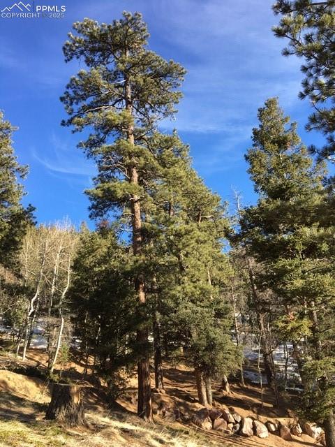 Photo 26 of 6800 Eagle Mountain Road, Manitou Springs