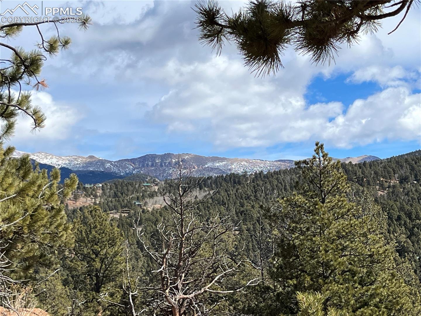 351 Dandy Jim Dr, Cripple Creek, CO 80813