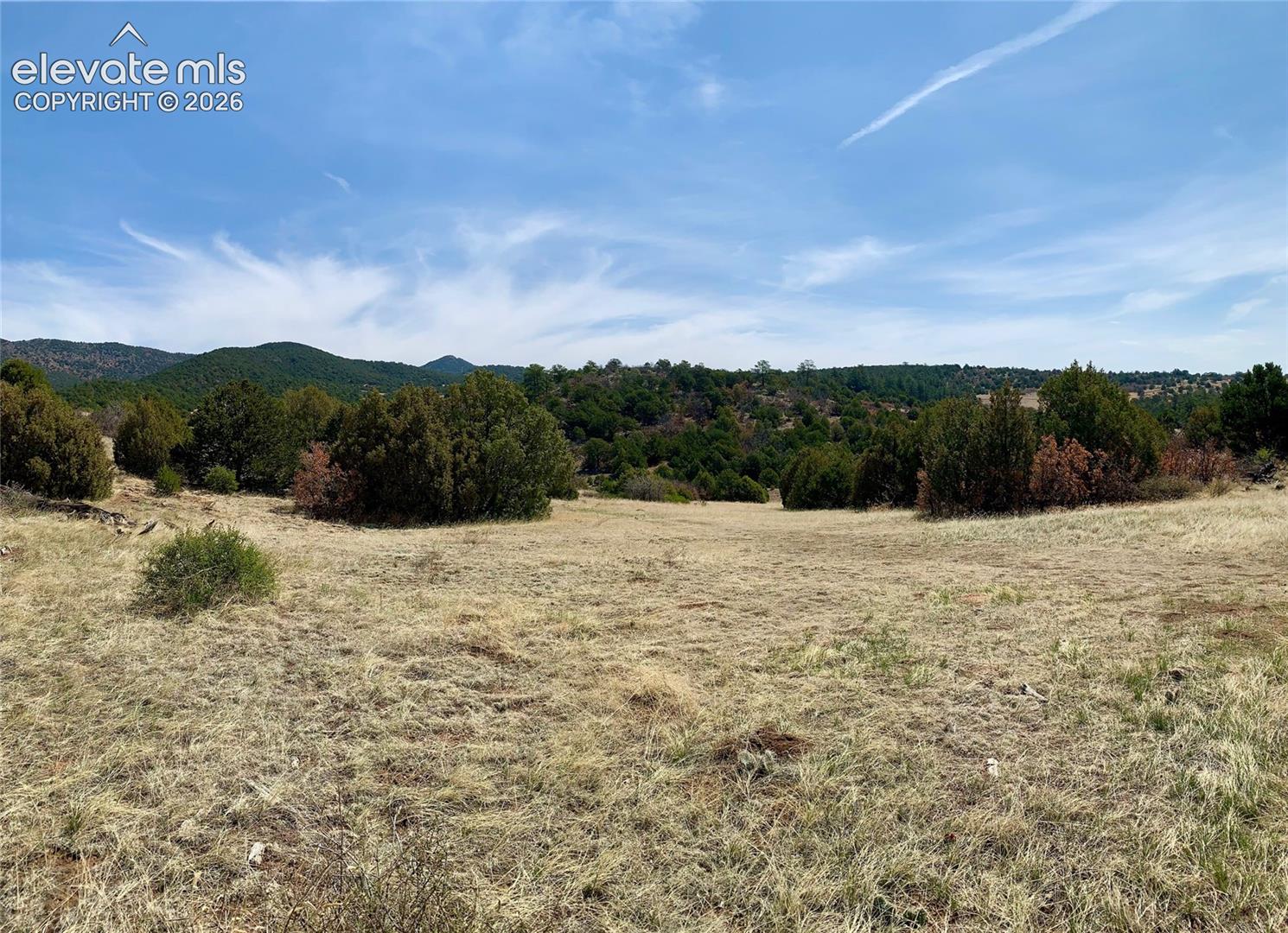 Expansive natural landscape featuring rolling terrain, mature juniper trees, and mountainous topography