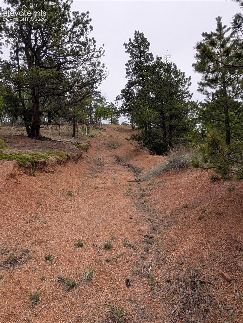 driveway in place