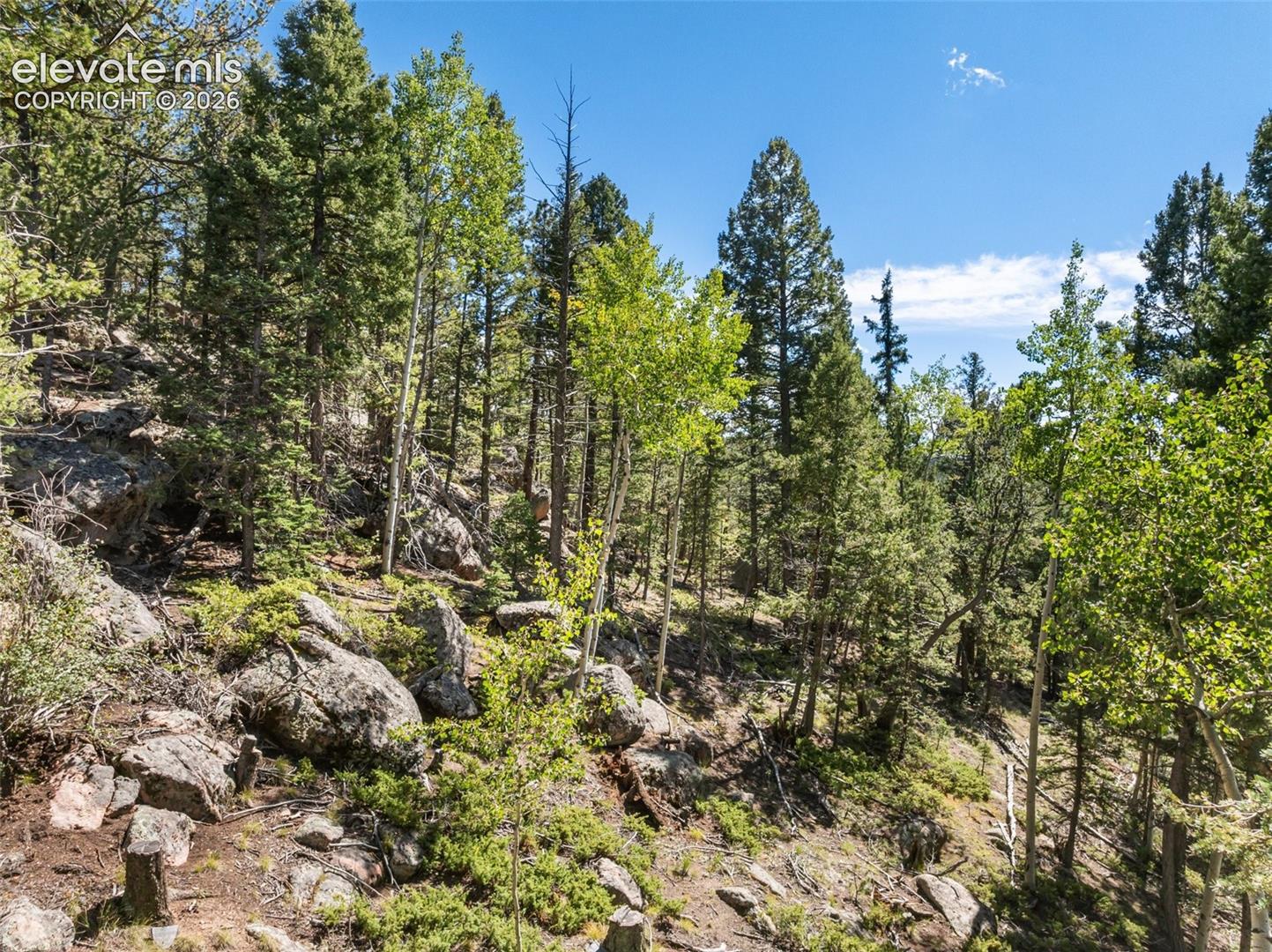 Photo 46 of 516 Saguache Drive, Florissant
