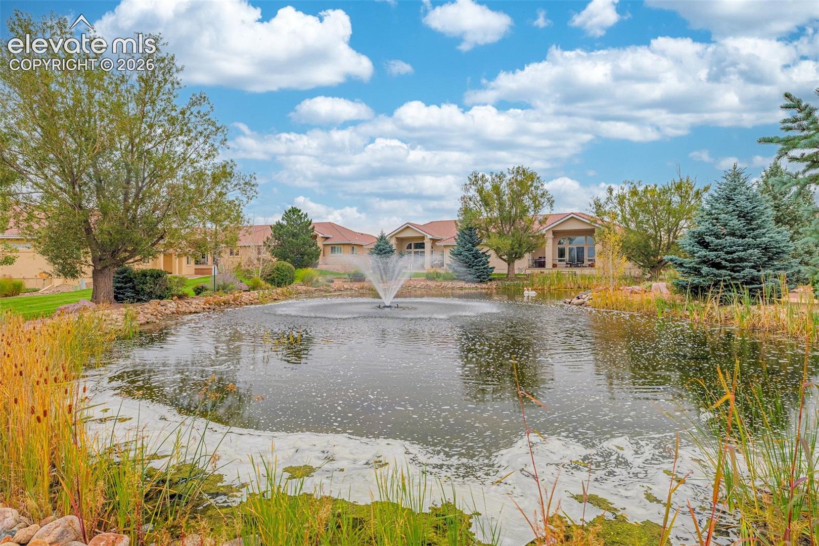 Community pond