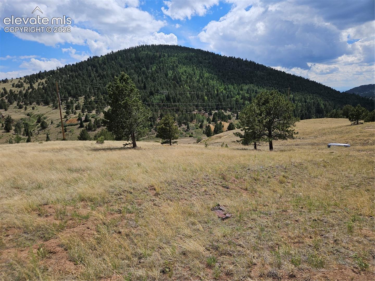 617 S 3rd St, Victor, CO 80860