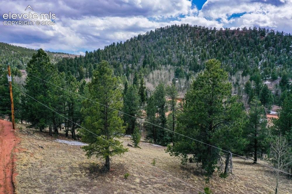 View of mountain feature featuring a forest view