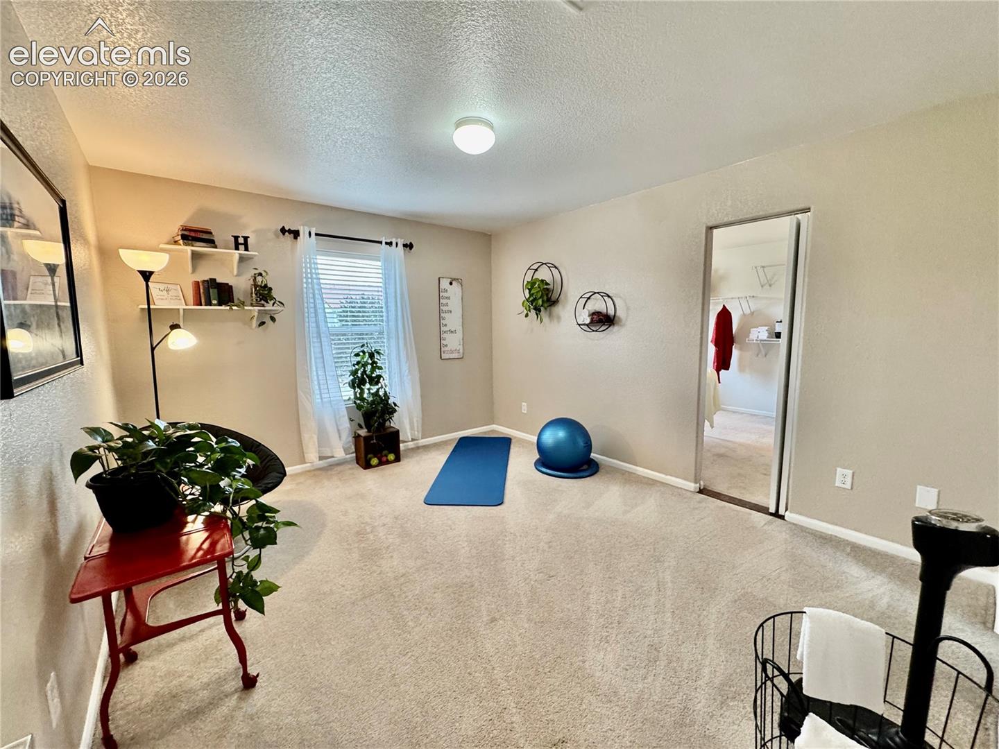 Carpeted room with a ceiling-mounted light fixture, window with blinds and sheer curtains, and built-in wall shelving
