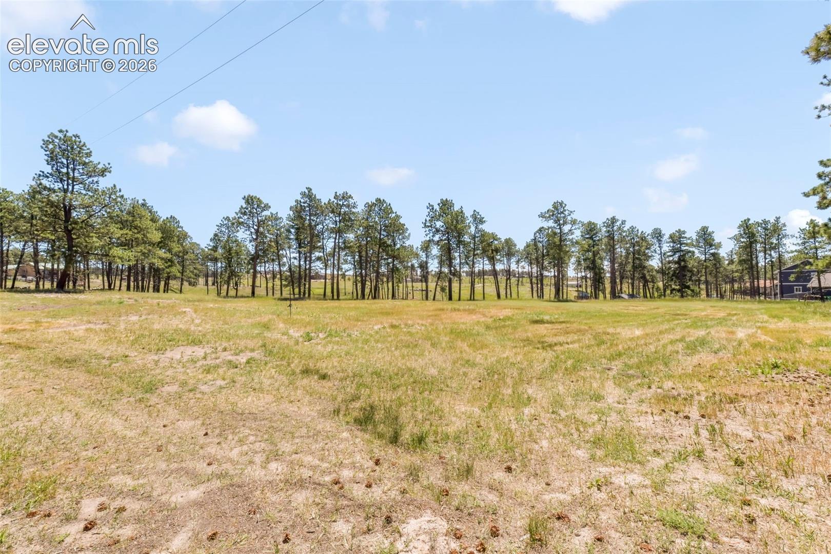 Incredible 5 acre property with trees