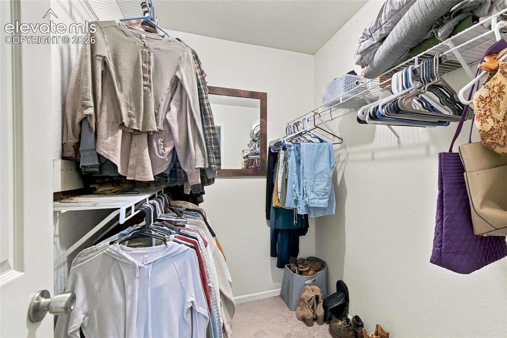 Walk-in closet w/ multi-tier wire shelving and carpeted flooring