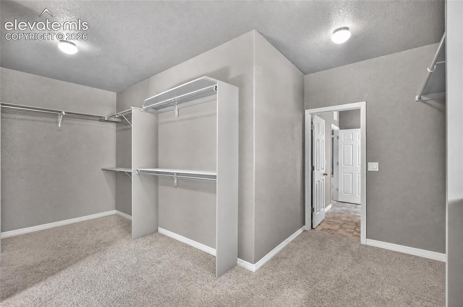 Spacious closet featuring wall-to-wall carpeting, integrated shelving, and dedicated hanging rods