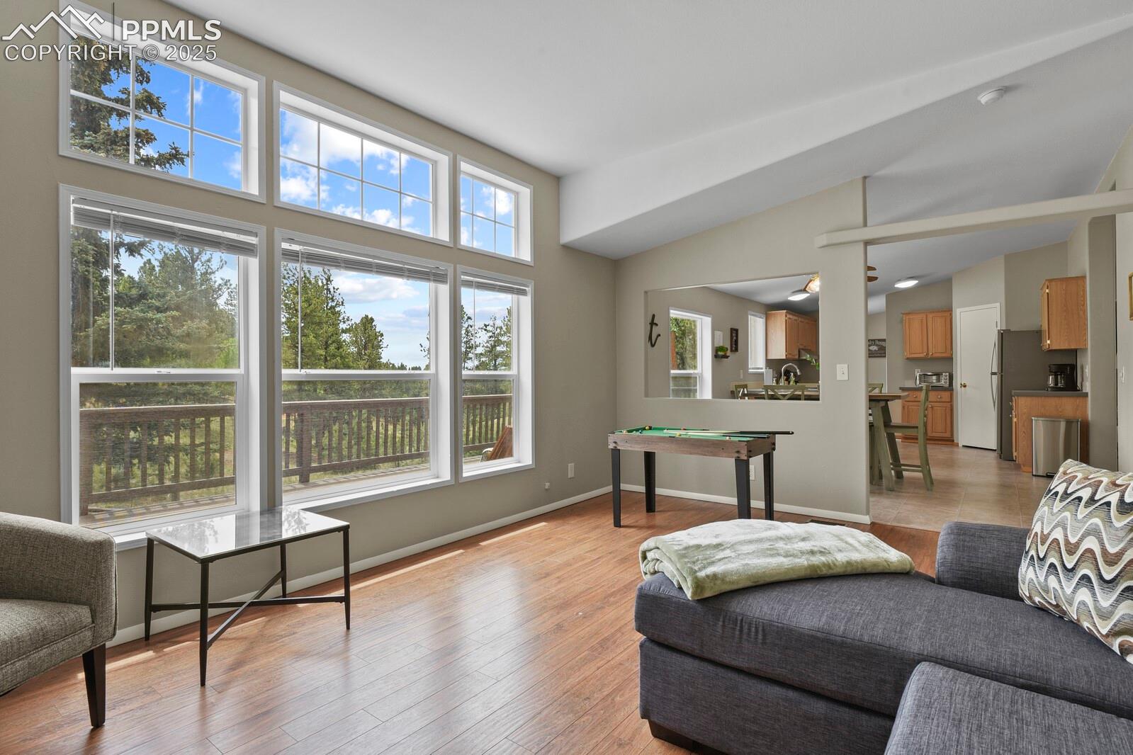 Living room with light wood-type flooring and vaulted ceiling