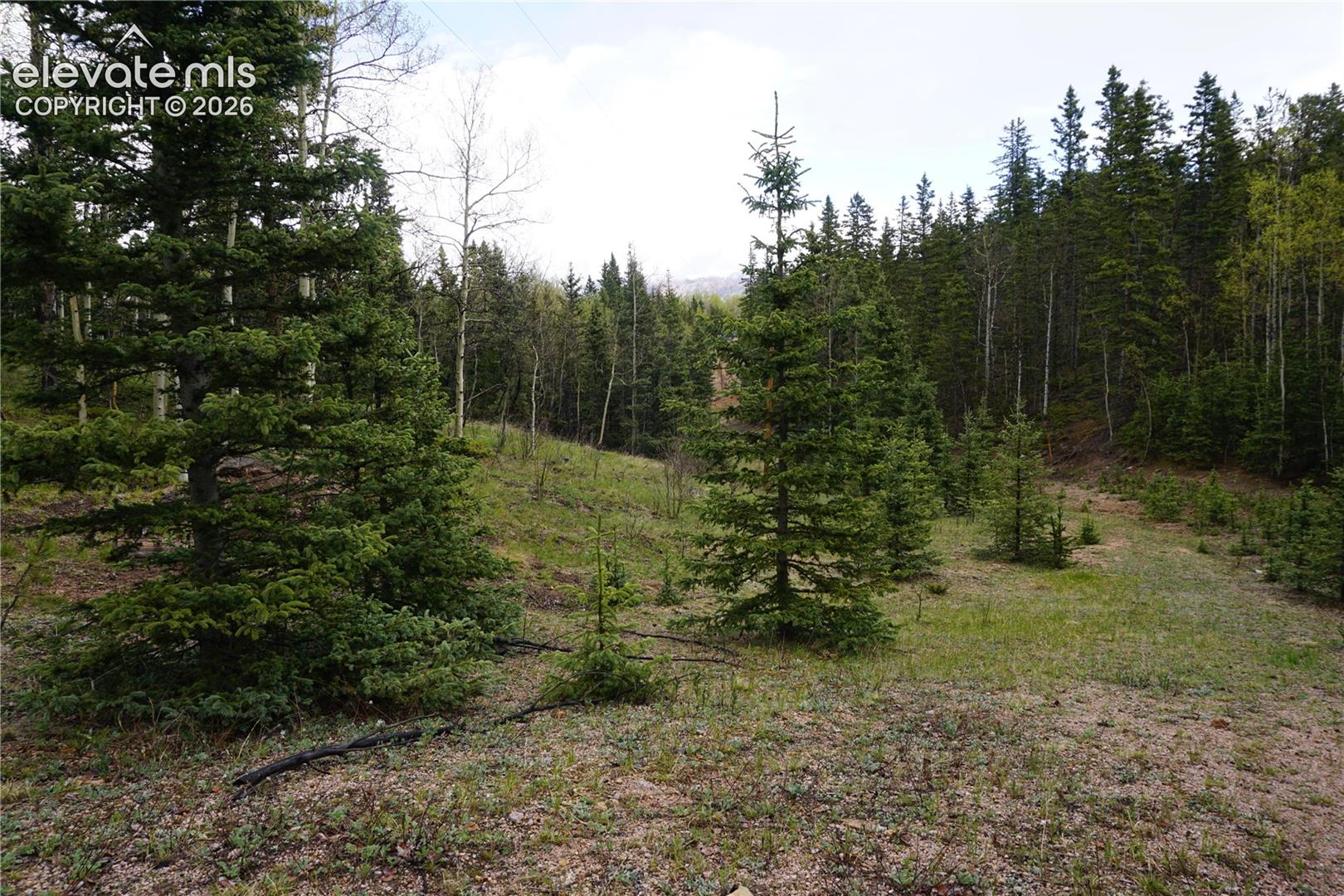 0 Vacant Land NA, Cripple Creek, CO 80813