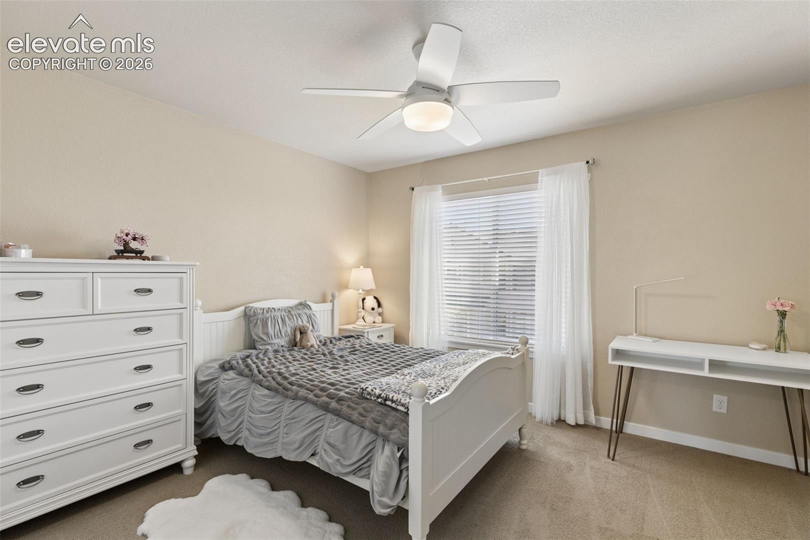 Photo 22 of 5069 Galloping Goose Way, Colorado Springs