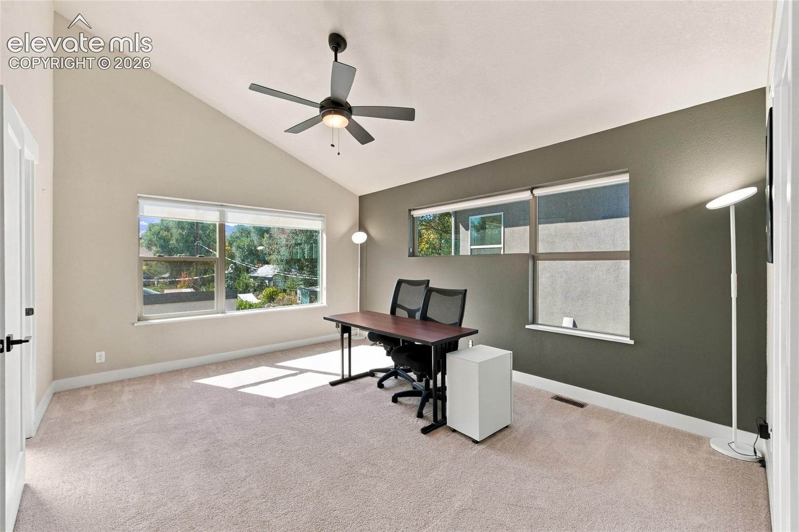 Vaulted ceiling room featuring neutral carpeting, multi-pane windows, and a ceiling-mounted light fixture
