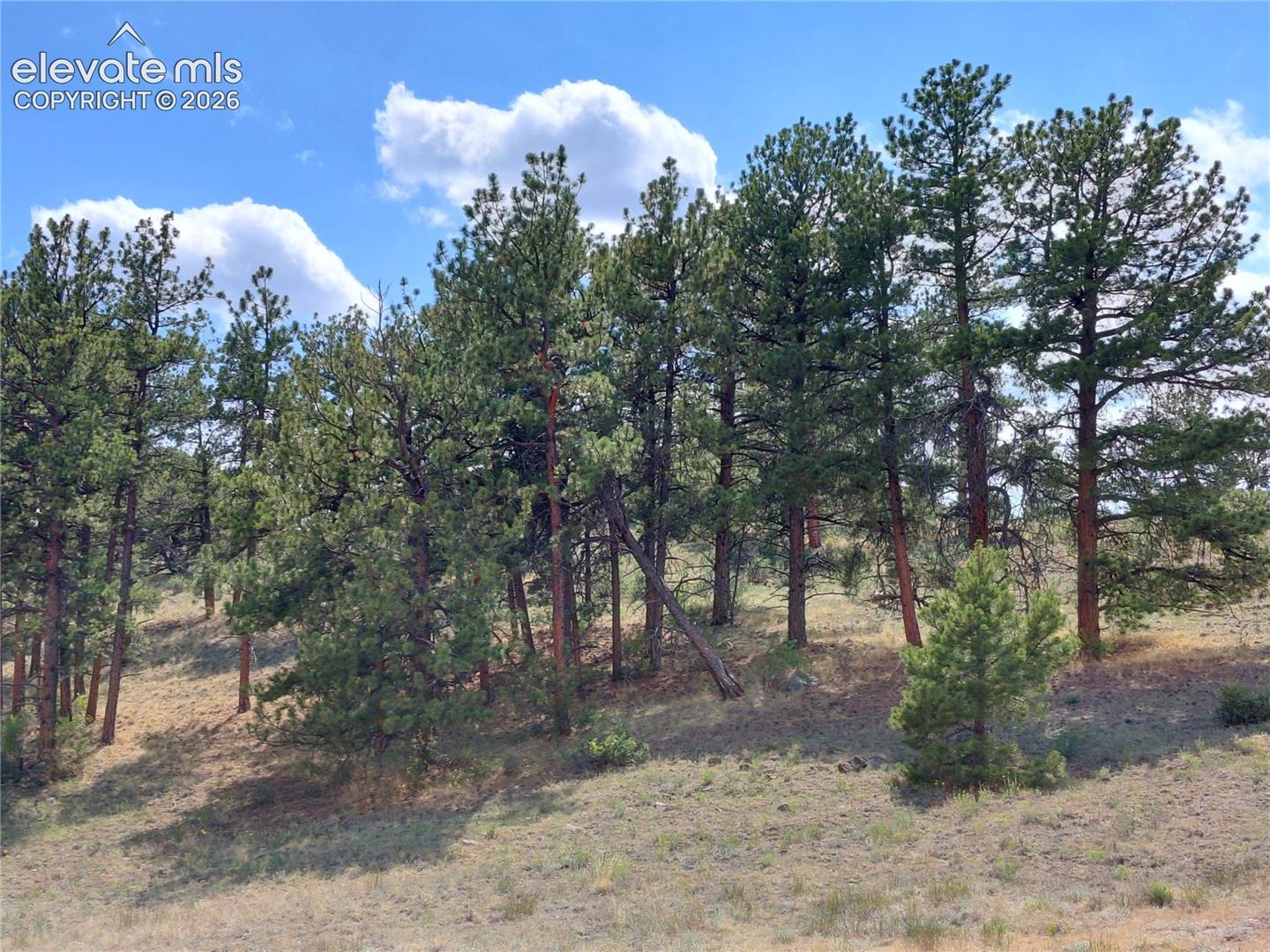 Photo 25 of Tract 70 Owls Nest Road, Guffey