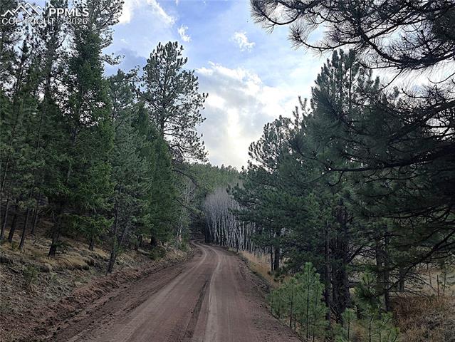road along property