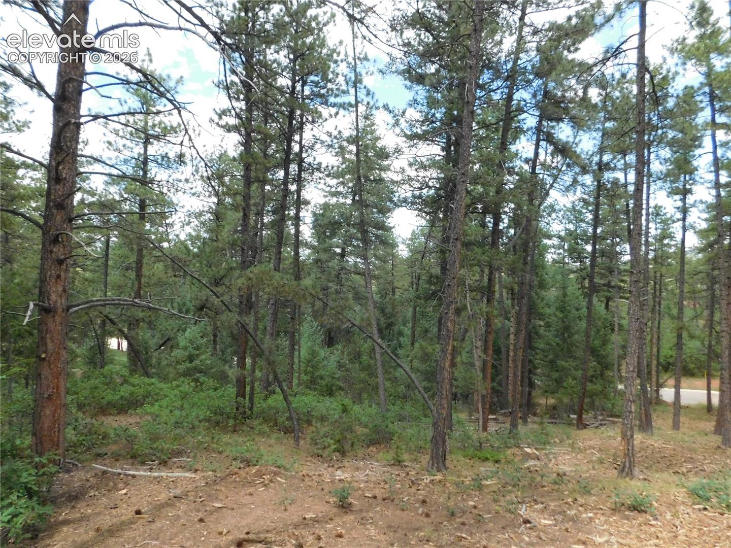 Photo 39 of 8139 Bannock Drive, Larkspur