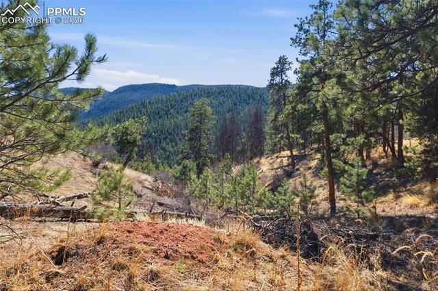 Photo 26 of 11070 W Highway 24, Cascade