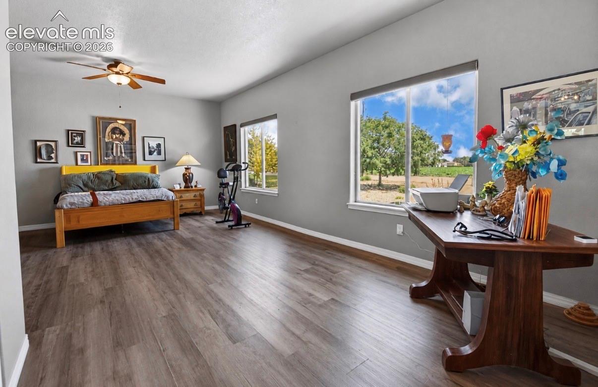 Bedroom 1- large primary suite