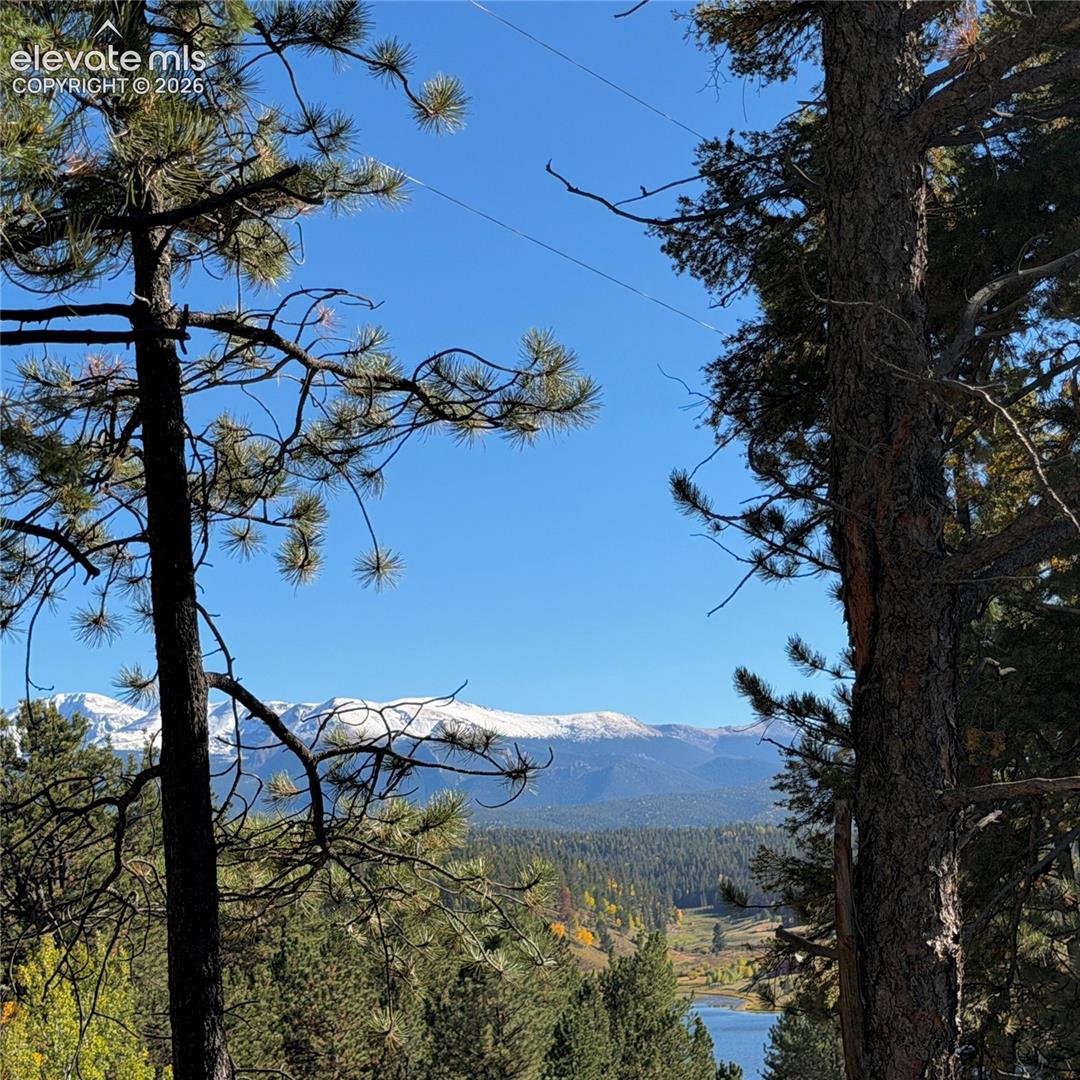 Expansive mountainous scenery featuring a prominent snow-capped range, dense evergreen forests, and a clear blue lake