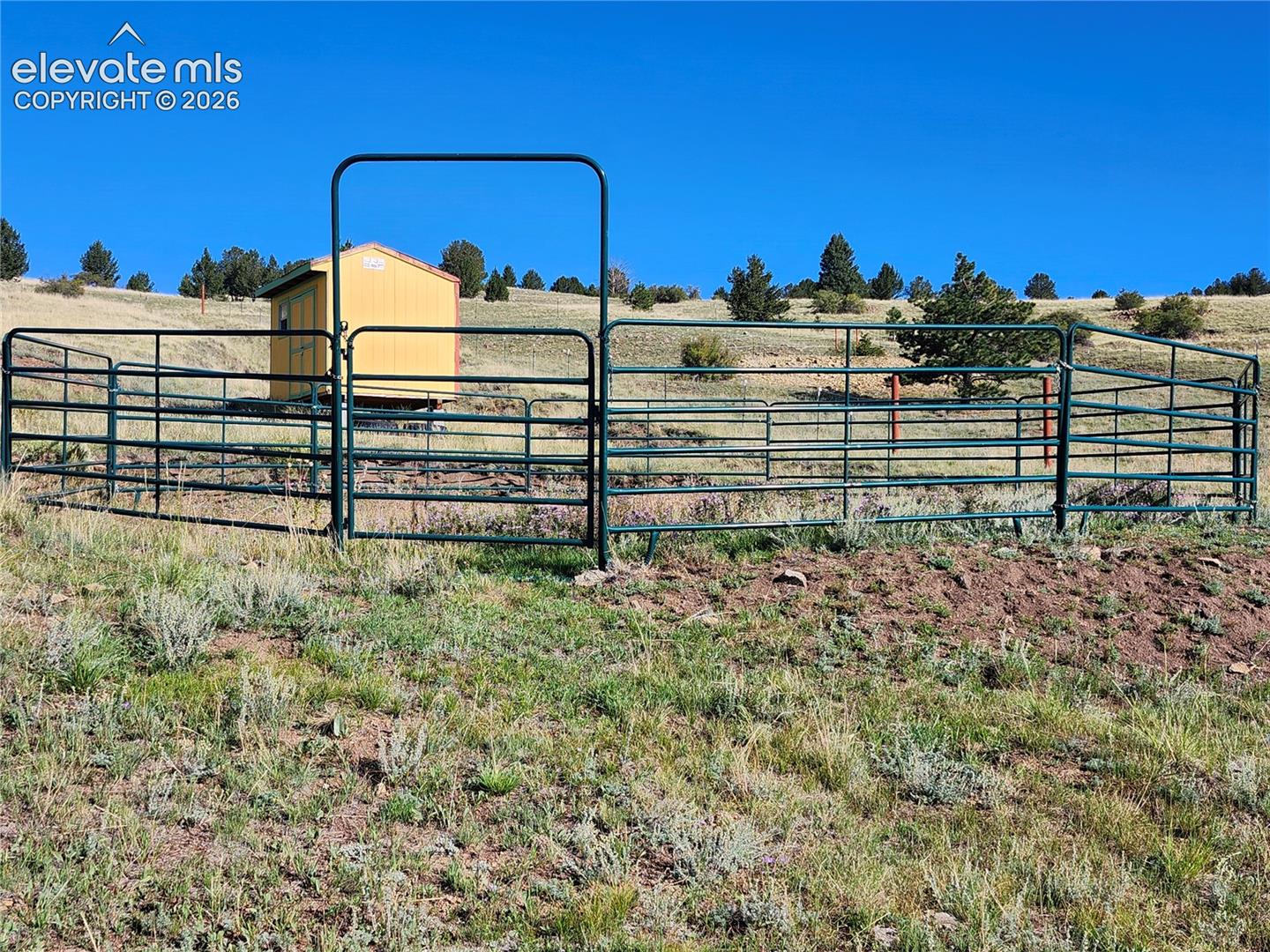 Corral