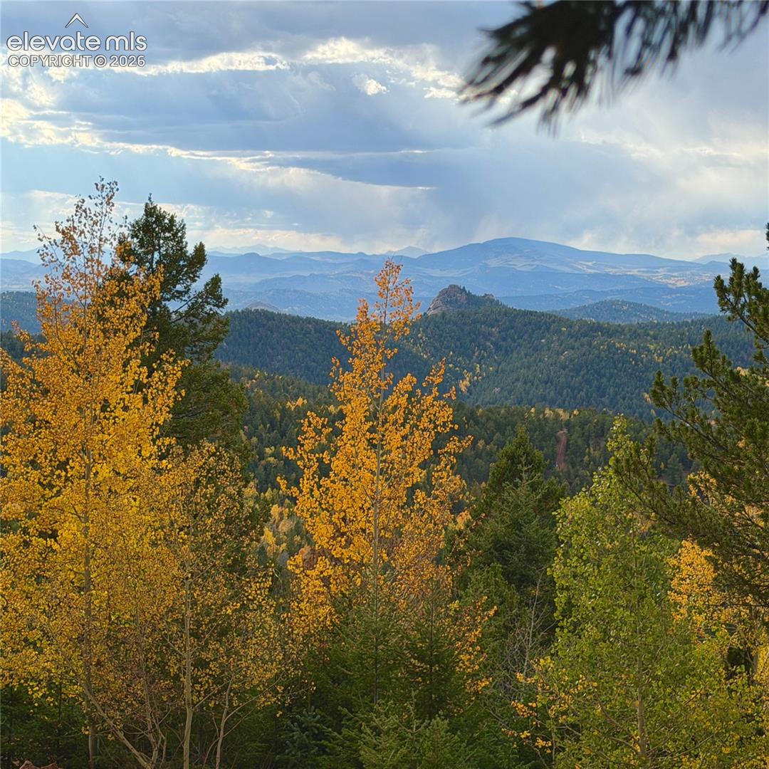 Mountainous landscape featuring evergreen and deciduous trees
