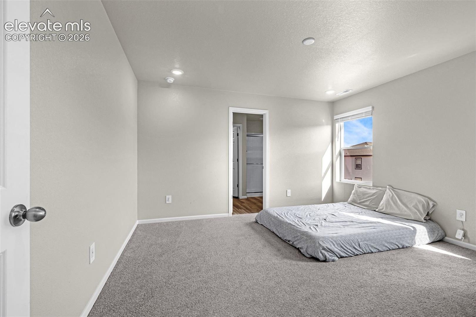 Photo 16 of 11396 Saugeye Street, Colorado Springs