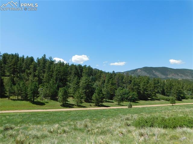 Photo 6 of 4668 Comanche Drive, Larkspur