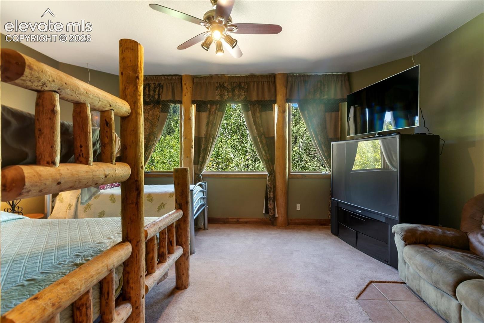Basement Family Room/Bedroom