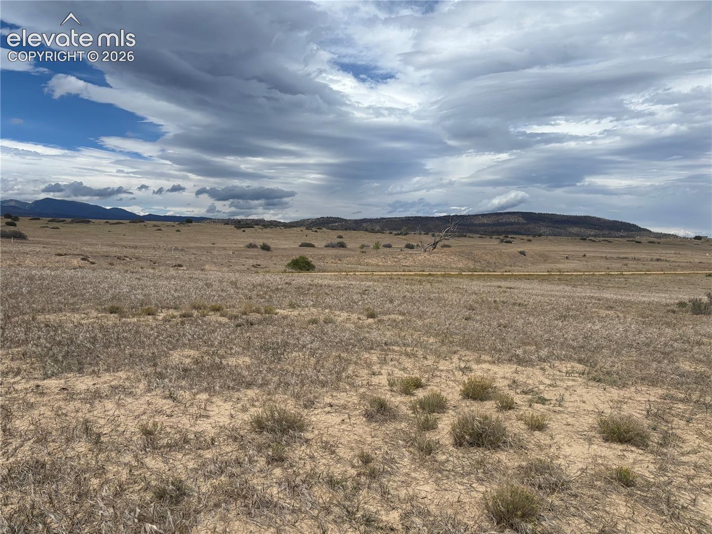 Expansive open land with natural ground cover and distant mountains