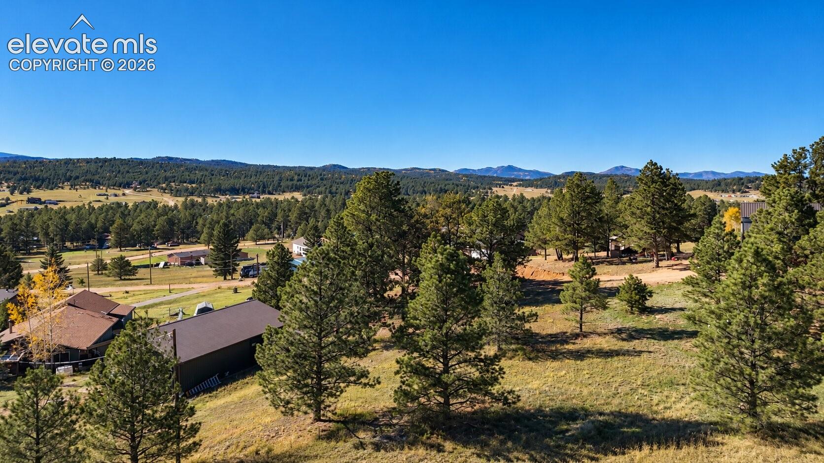 Expansive property featuring mature evergreen trees, gently sloping natural terrain, and mountainous horizons