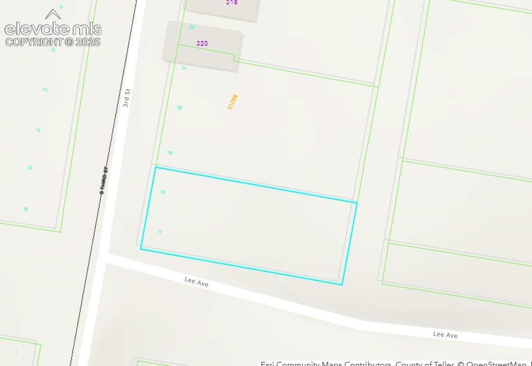 Lot 17-18 S 3rd St, Victor, CO 80860