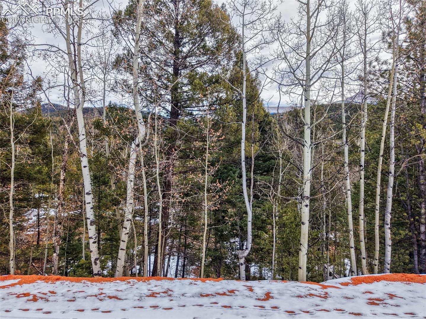 1181 Calcite Dr, Divide, CO 80814