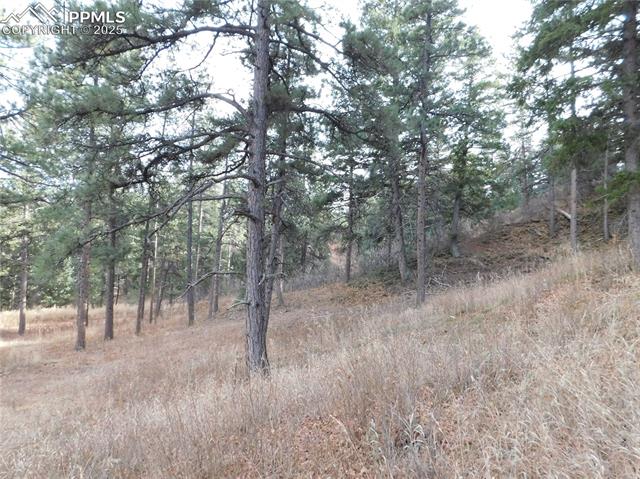 Photo 24 of 8055 Acoma Drive, Larkspur