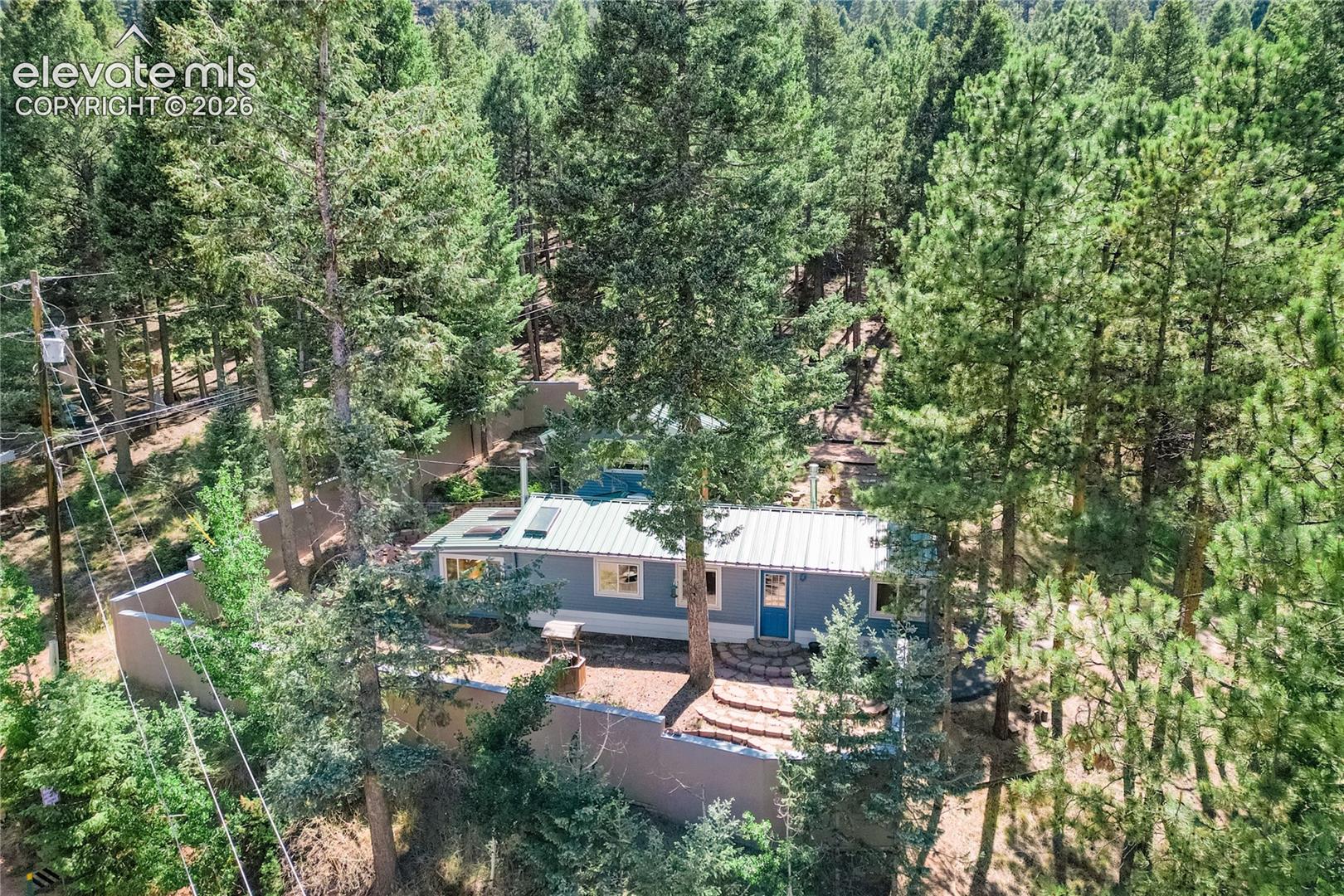 196 Summer Haven Dr, Woodland Park, CO 80863