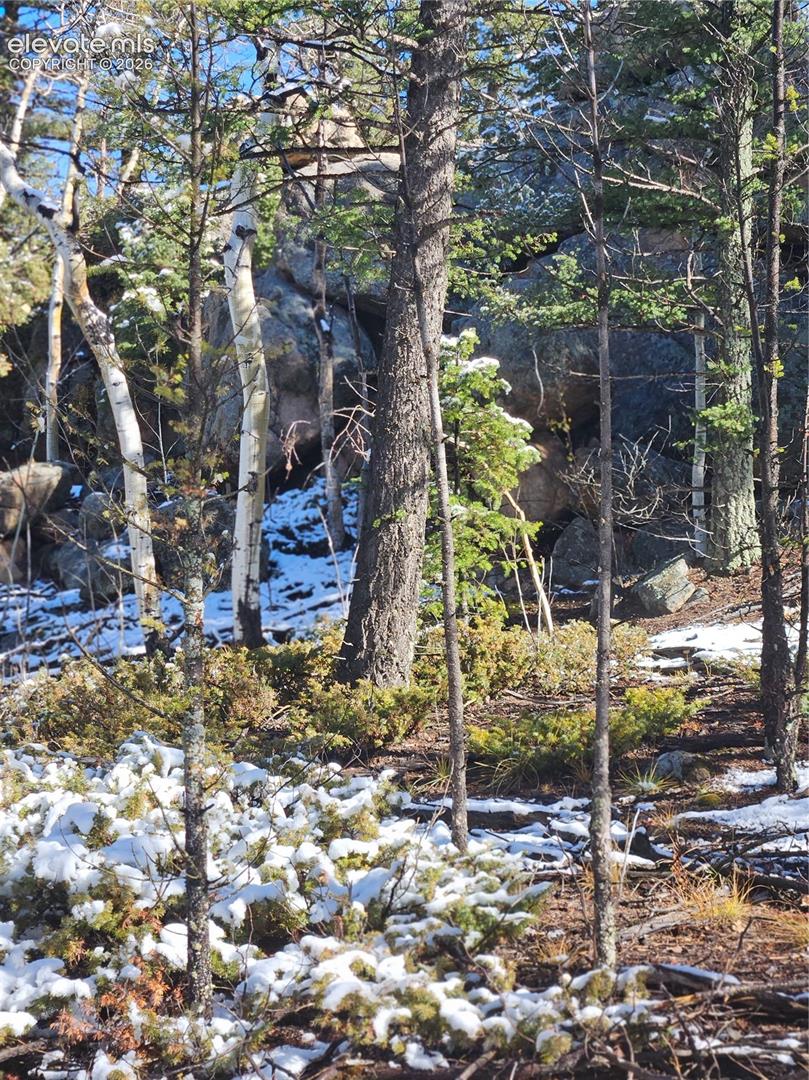 Natural landscape featuring dense evergreen and aspen timber, prominent rock outcroppings, and native ground cover