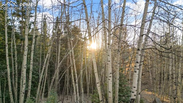 Photo 17 of 1289 Yorktown Road, Cripple Creek