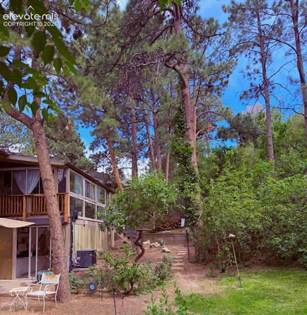 Wooded lot featuring mature trees and established natural landscaping
