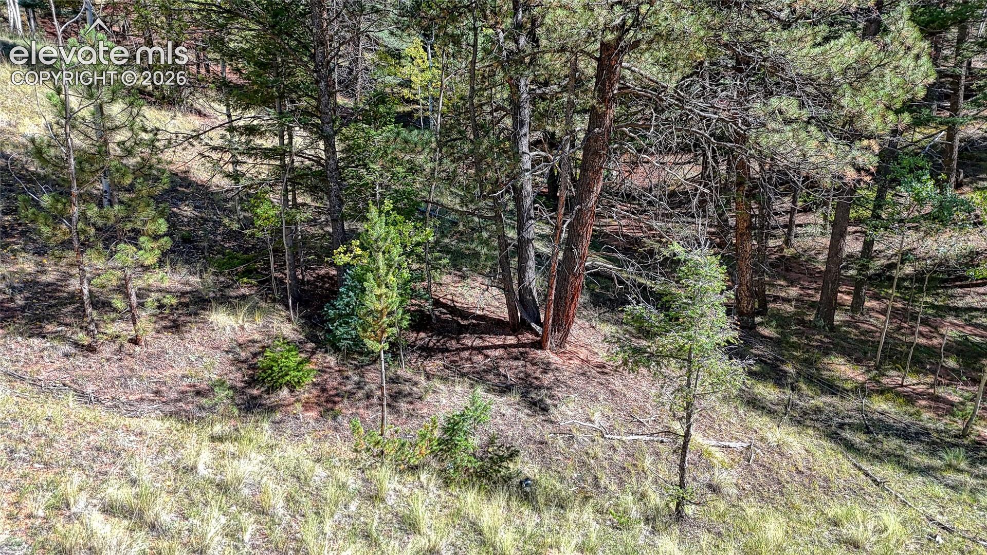 Photo 21 of 136 Gold Crown Circle, Cripple Creek