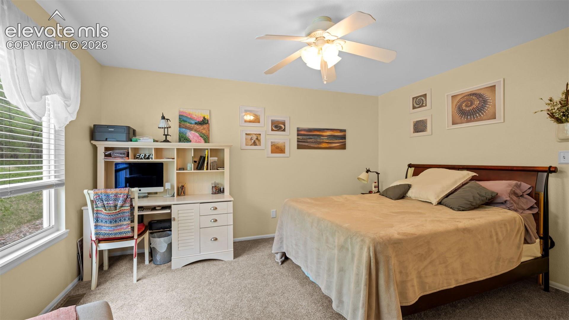 Plush Carpet ~ Ceiling Fan ~ Views Out the Window