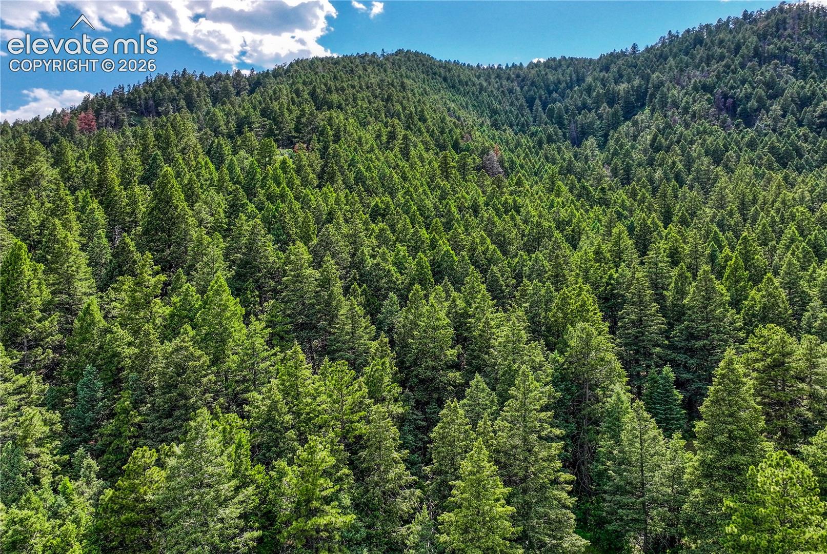 Photo 9 of 15533 S Perry Park Road, Larkspur