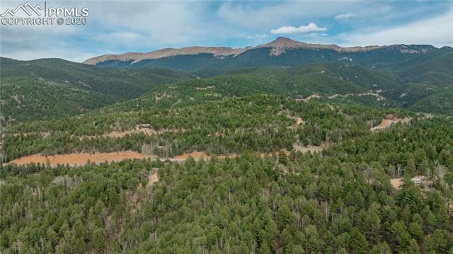 881 Timber Ridge Rd, Divide, CO 80814