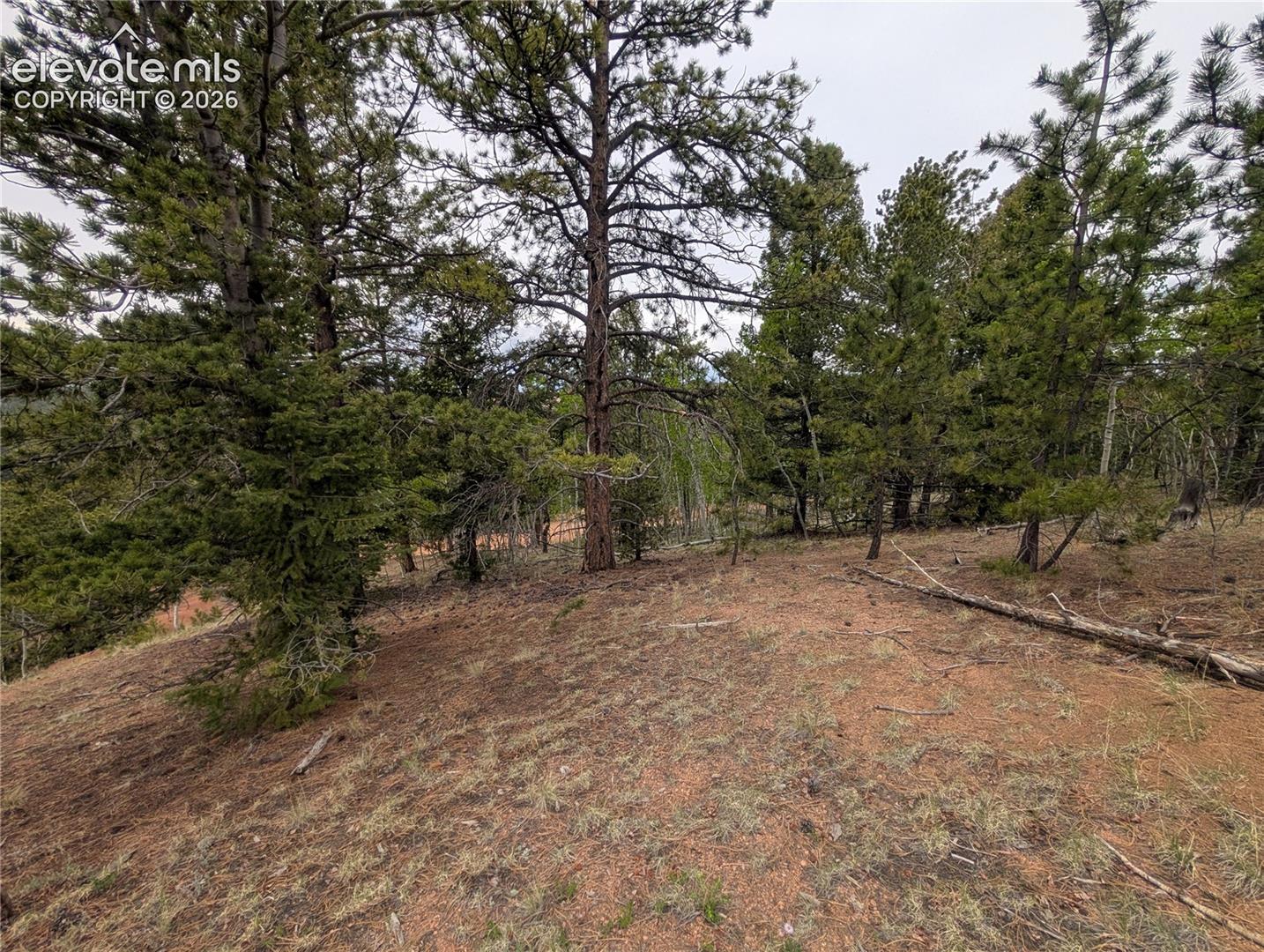 Photo 20 of 16 Princess Lane, Cripple Creek
