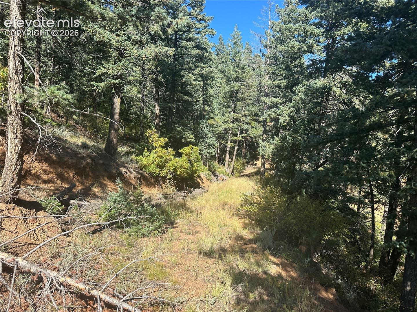Future driveway and location of the well