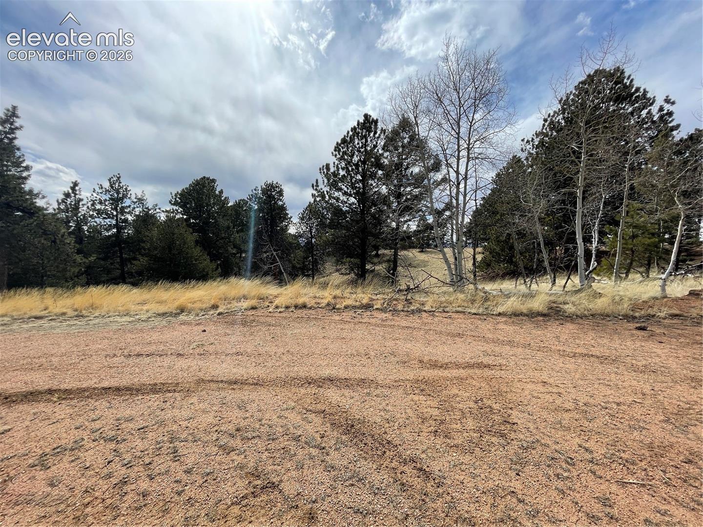 Expansive, undeveloped lot featuring natural topography, native grasses, and mature evergreen and aspen trees