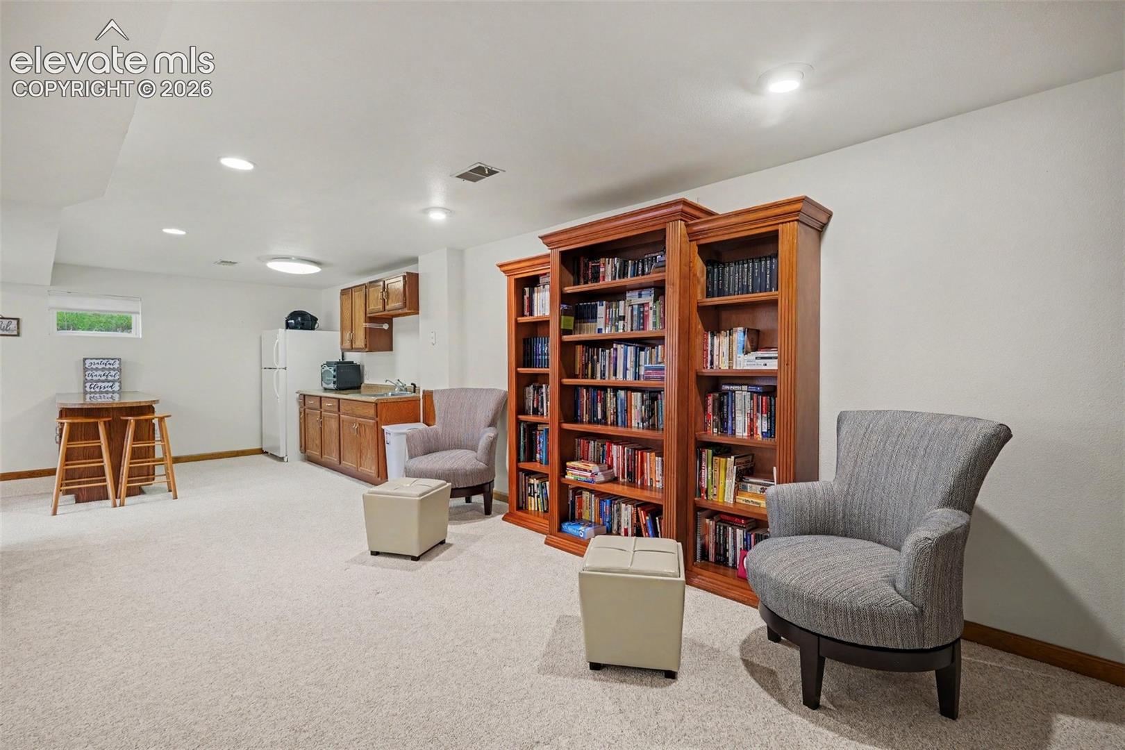 Basement Family Room