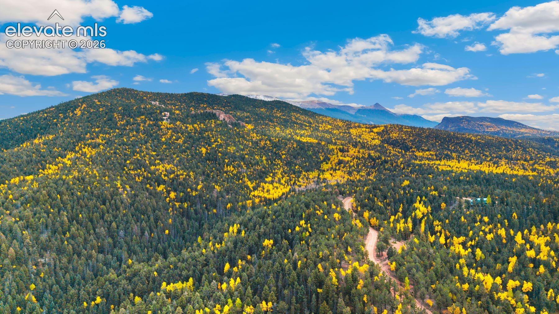 Expansive mountain landscape featuring dense evergreen and deciduous trees, with distant mountain peaks, and a clear blue sky with scattered clouds