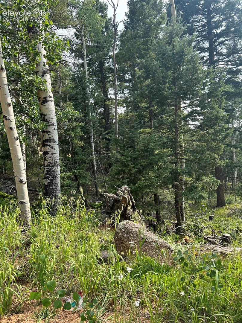 Wooded parcel featuring mature aspen and evergreen trees, natural granite outcropping, and native ground cover