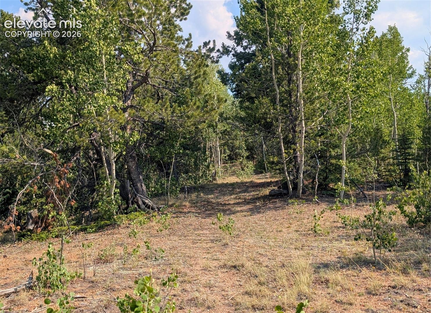 Photo 11 of Fairview Drive, Cripple Creek