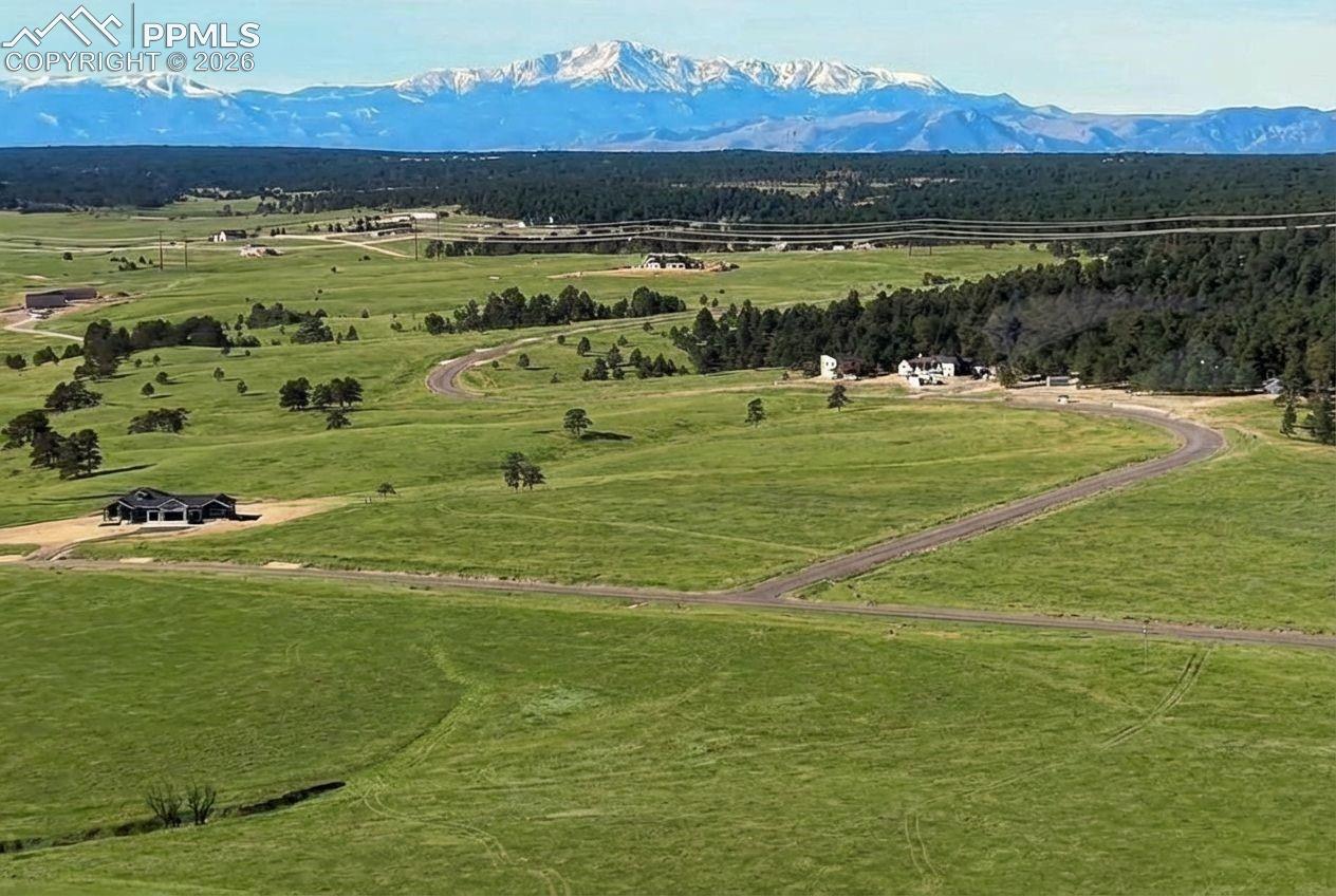 17435 Twinkling Star Ln, Colorado Springs, CO 80908