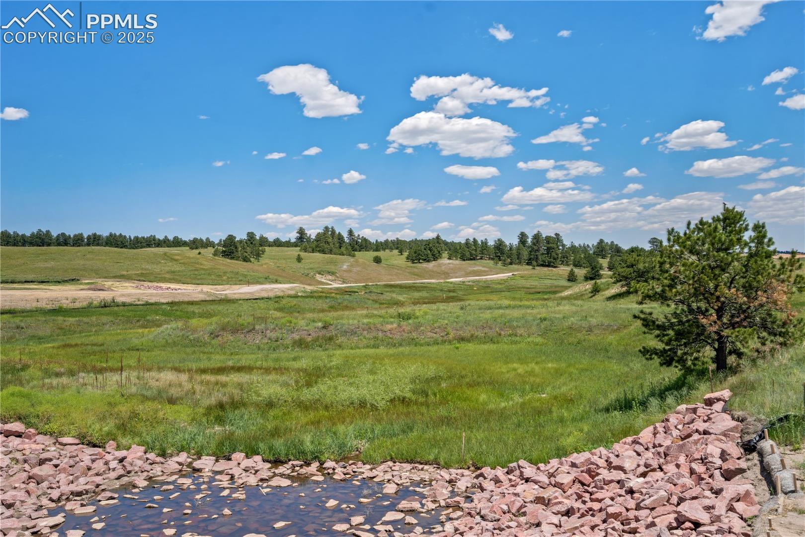 Photo 8 of 10698 Alamar Way, Colorado Springs