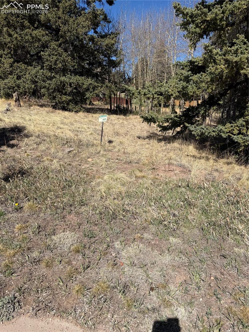 Photo 9 of 405 Meadow Park Drive, Divide